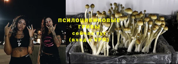 марки nbome Алексеевка