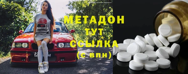прущие грибы Алзамай