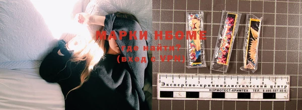 прущие грибы Алзамай