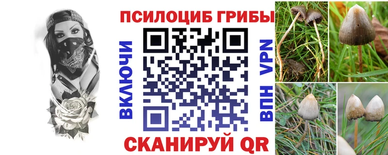 Псилоцибиновые грибы GOLDEN TEACHER  маркетплейс наркотические препараты  Артём  хочу наркоту 